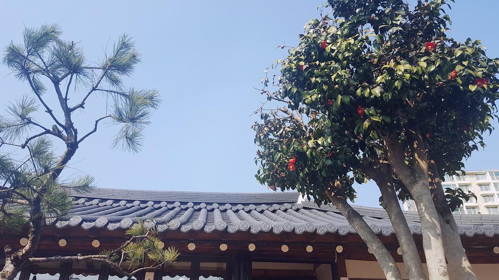 Misori Guesthouse Gwangju Metropolitan City Exterior foto